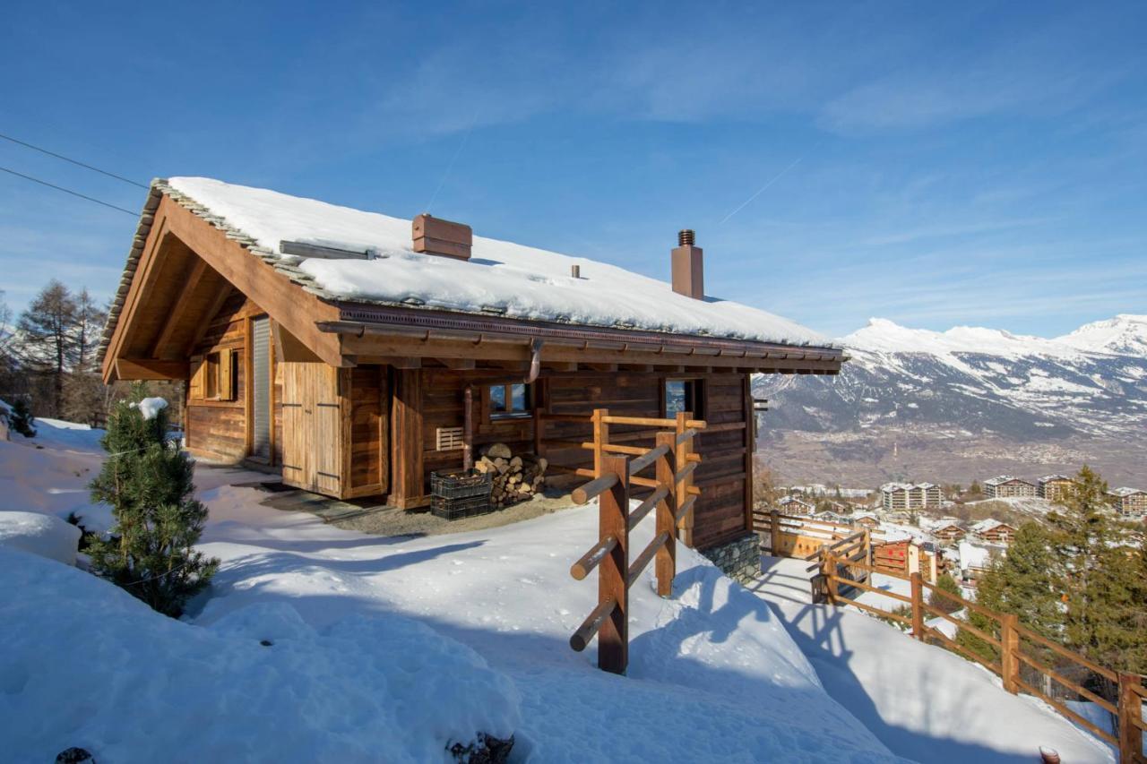 Oak Tree Chalet - On The Ski Slope - Luxury! Нендаз Екстериор снимка